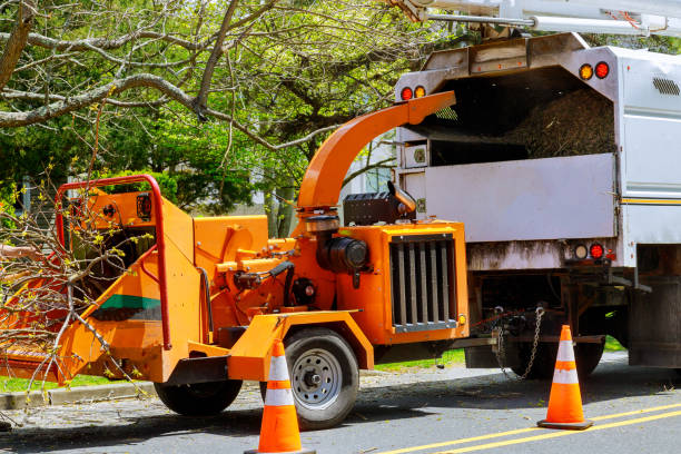 Best Tree Mulching  in Lla Lla East, WA